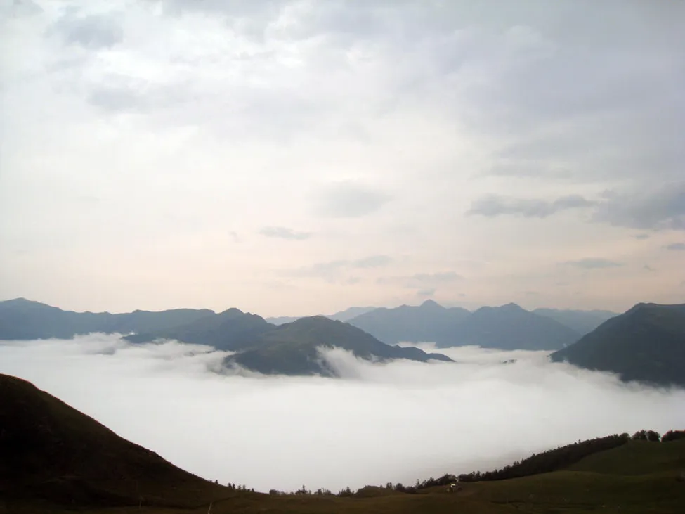 Klicka för att förstora