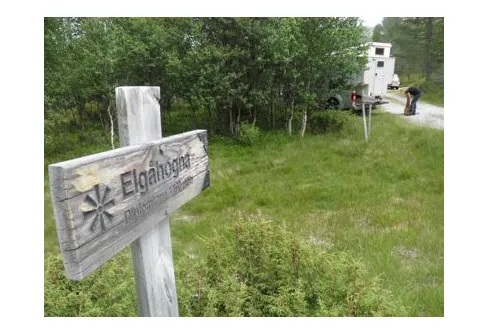 Vandring i Norge och Toppbestigning av Elgåhogna 1460 möh