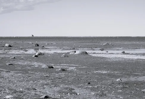 Havet och minnets spegel.