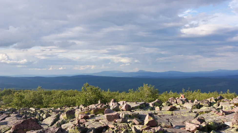 Klicka för att förstora