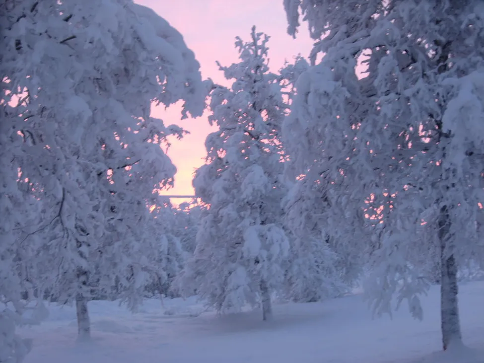 Klicka för att förstora