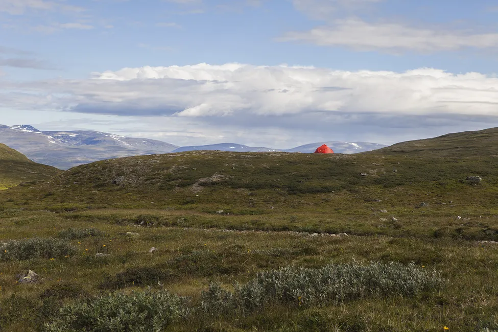 Klicka för att förstora