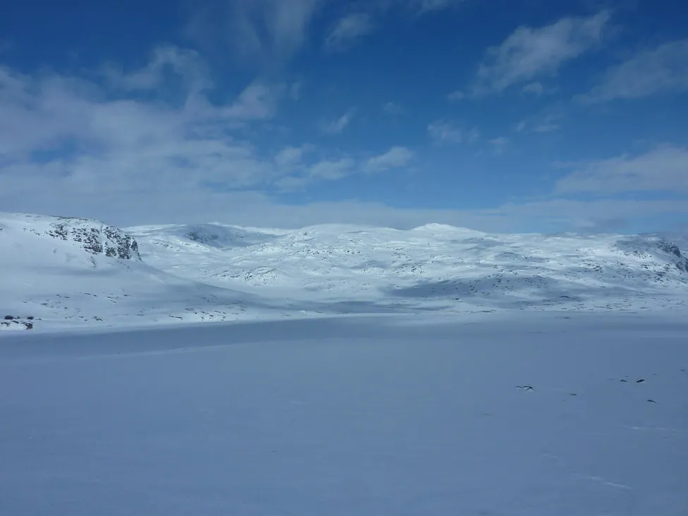 Klicka för att förstora
