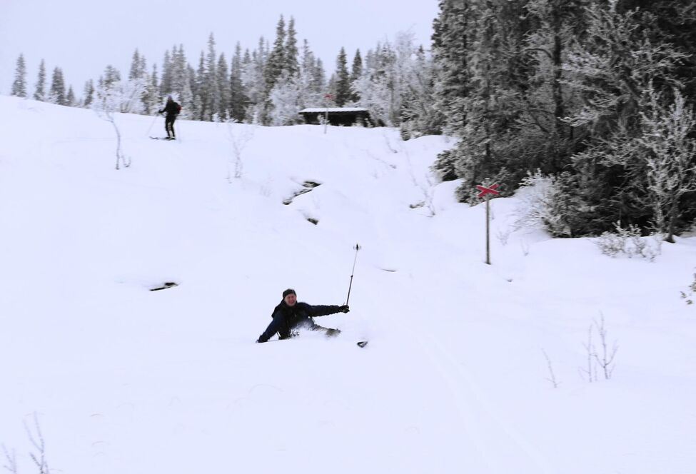 Klicka för att förstora