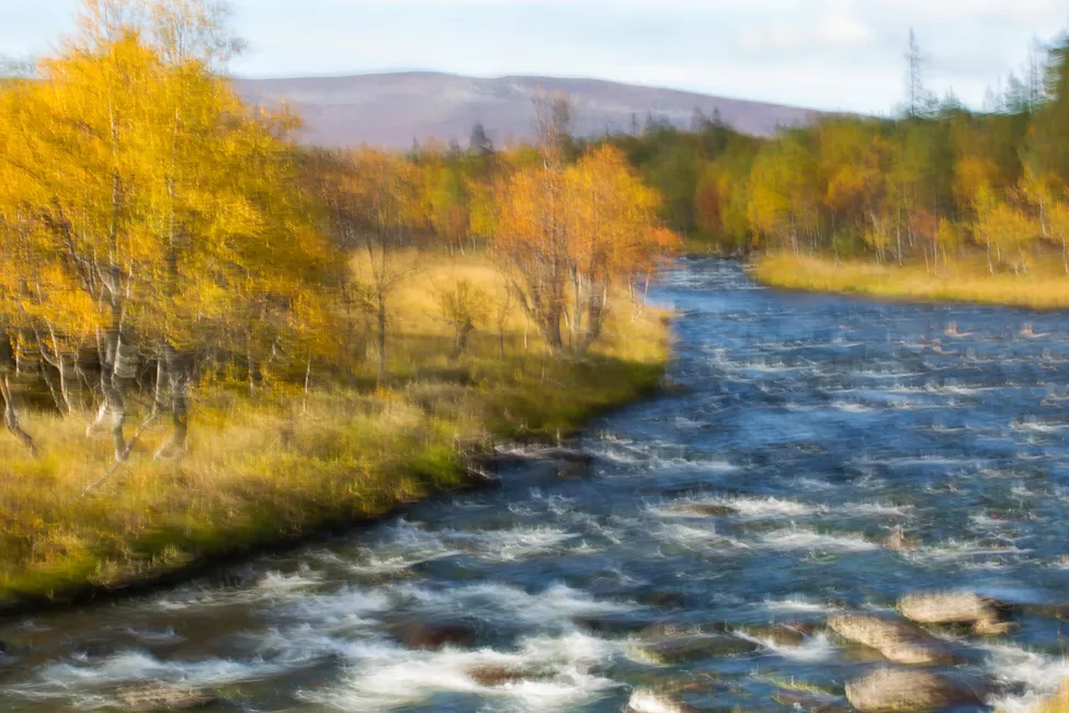 Klicka för att förstora