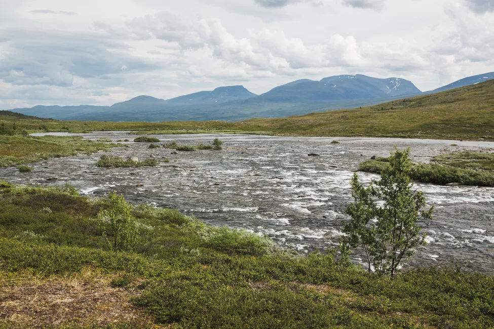 Klicka för att förstora