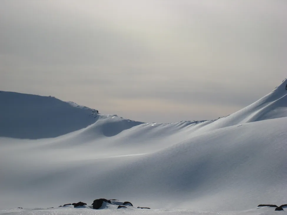 Klicka för att förstora