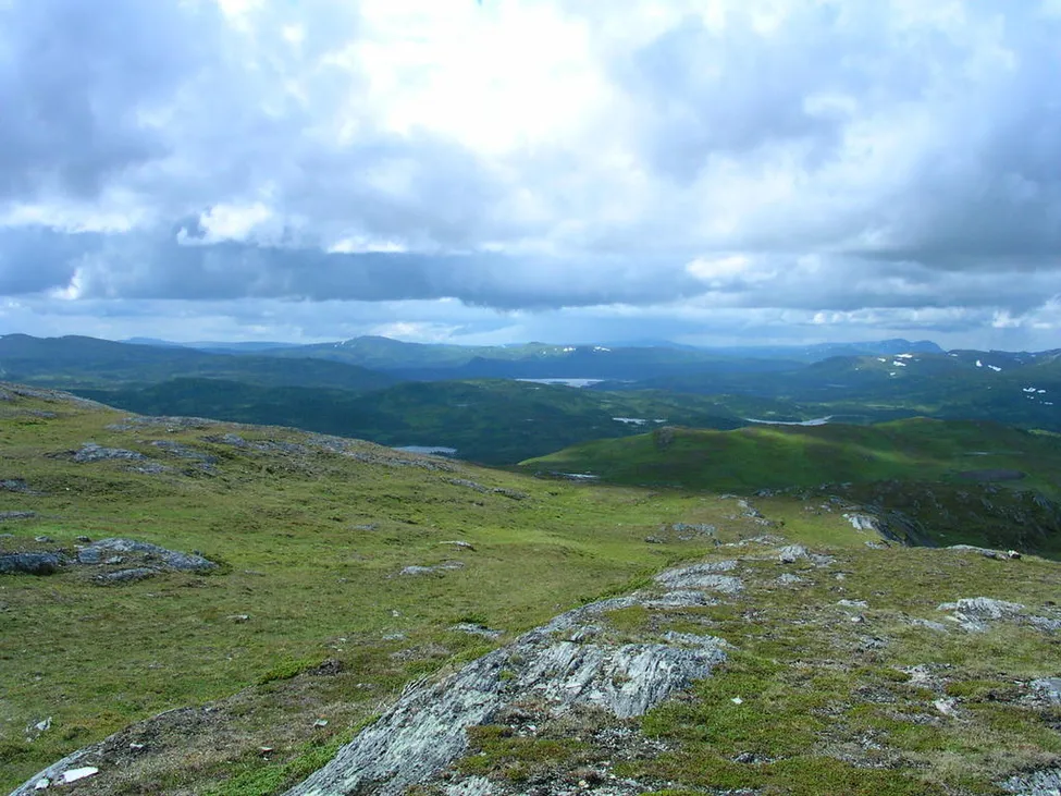 Klicka för att förstora