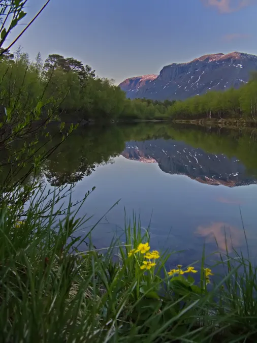 Klicka för att förstora