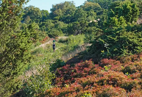 Nu kliver Skåneleden in på Google Street View