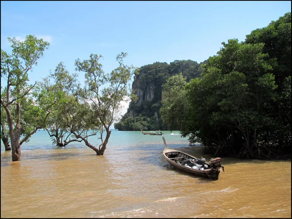 Klicka för att förstora