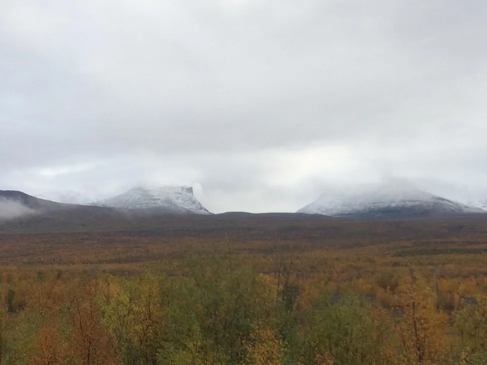 Klicka för att förstora