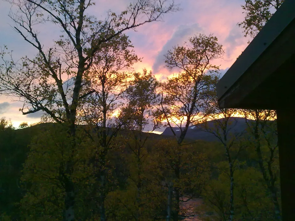 Klicka för att förstora