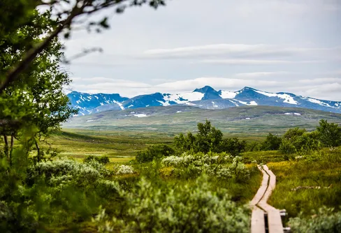 Ny kampanj för att hålla fjällvärlden ren