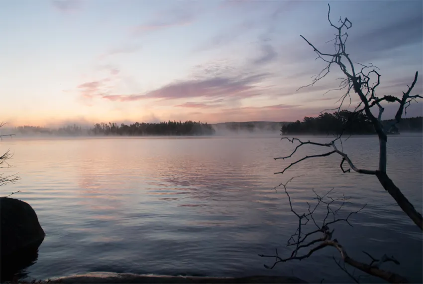 Klicka för att förstora