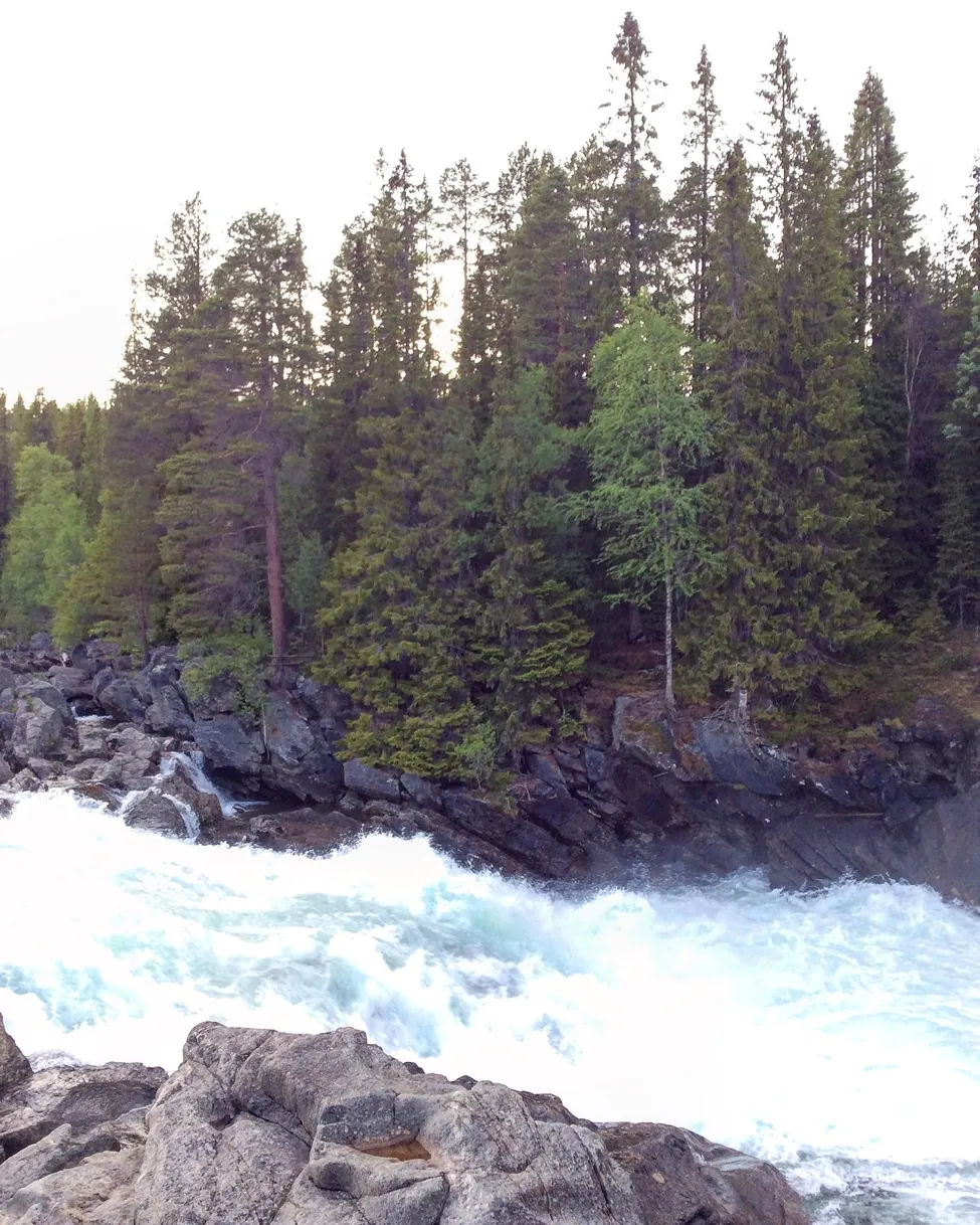 Klicka för att förstora
