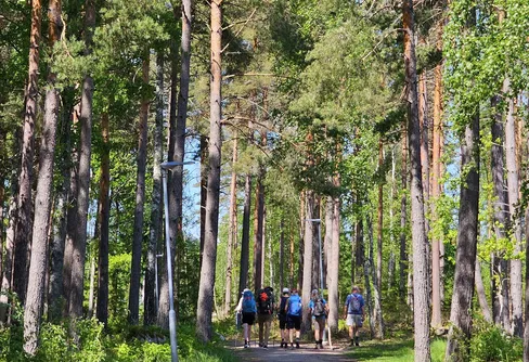 Svenska kyrkan arrangerar Tillsammansvandring