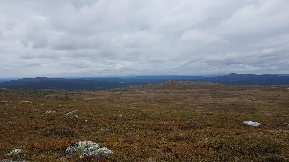 Klicka för att förstora