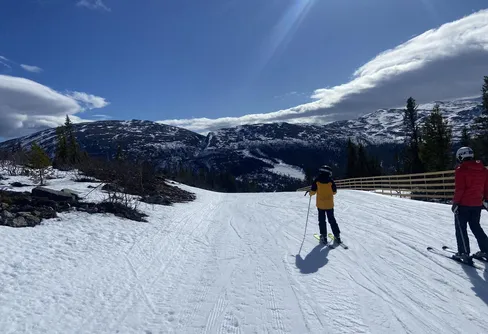 Utför i Bydalen och skejt vid Trillevallen 250329-30