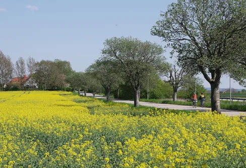 Hardeberga – vandringar i underskattad landsbygd