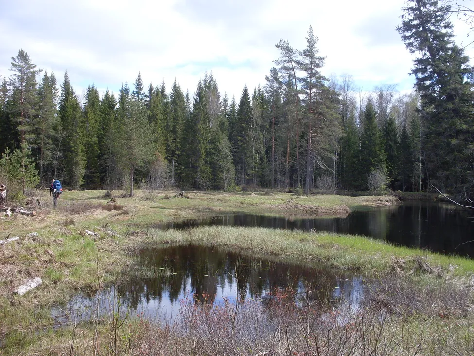 Klicka för att förstora