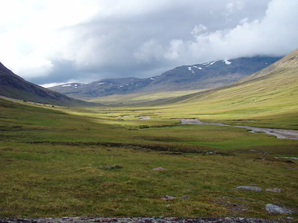 Klicka för att förstora