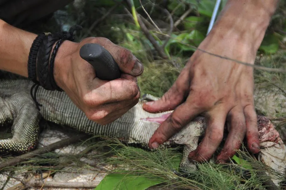 Klicka för att förstora