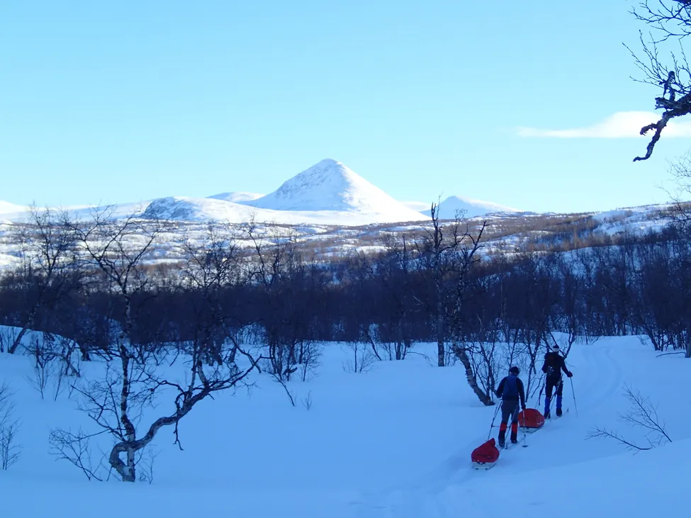 Klicka för att förstora