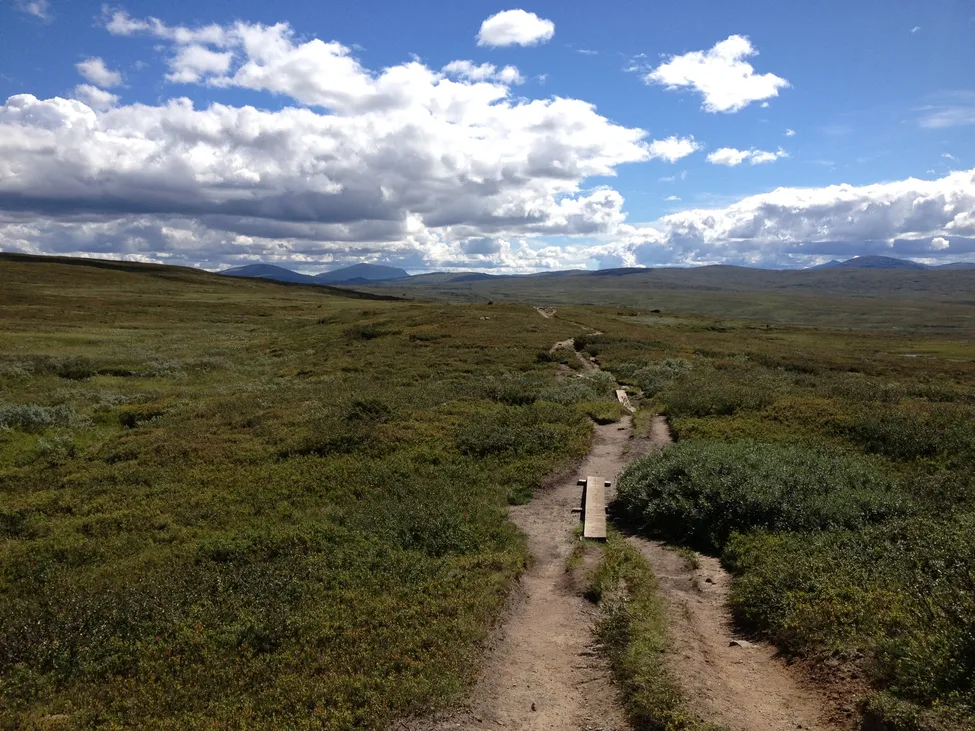 Klicka för att förstora