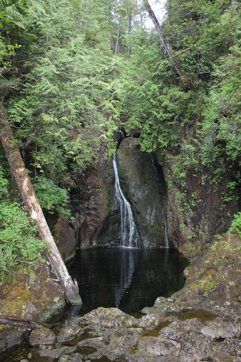 Klicka för att förstora
