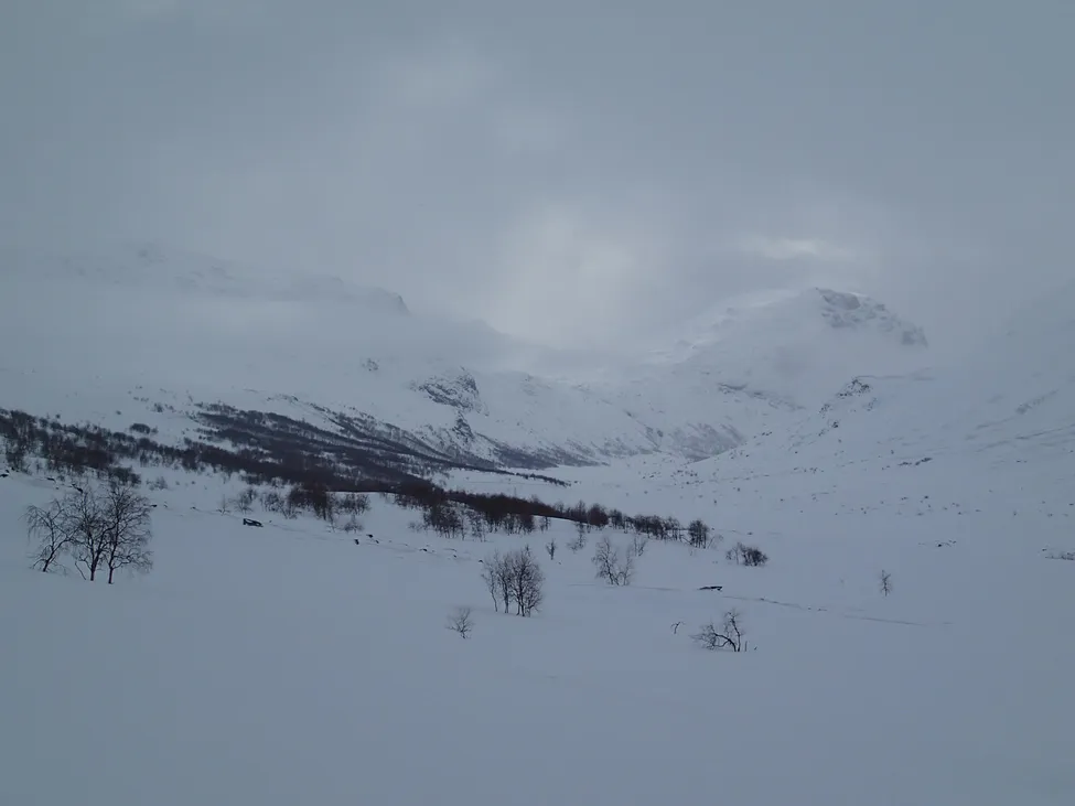 Klicka för att förstora