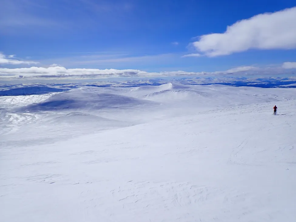 Klicka för att förstora