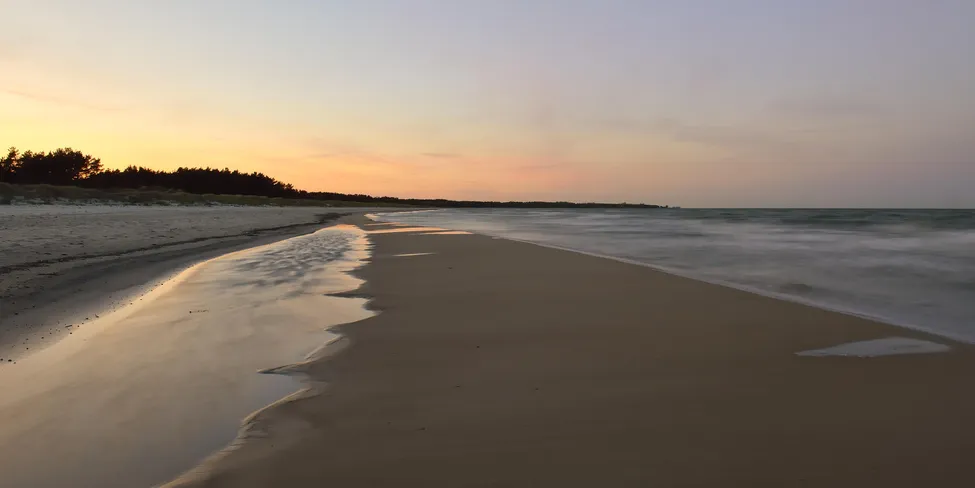 Klicka för att förstora