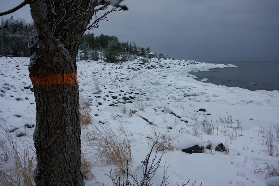 Klicka för att förstora