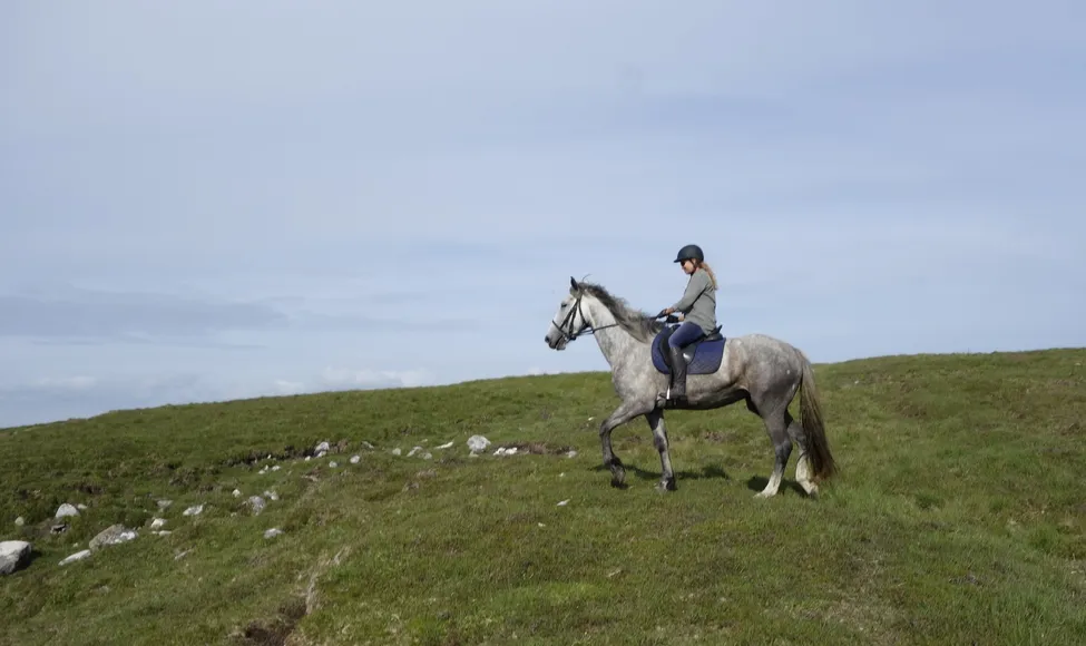 Klicka för att förstora