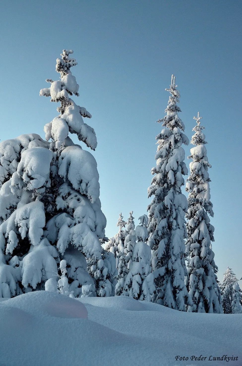 Klicka för att förstora