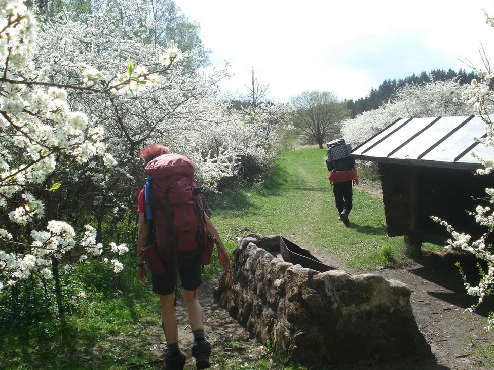 Klicka för att förstora