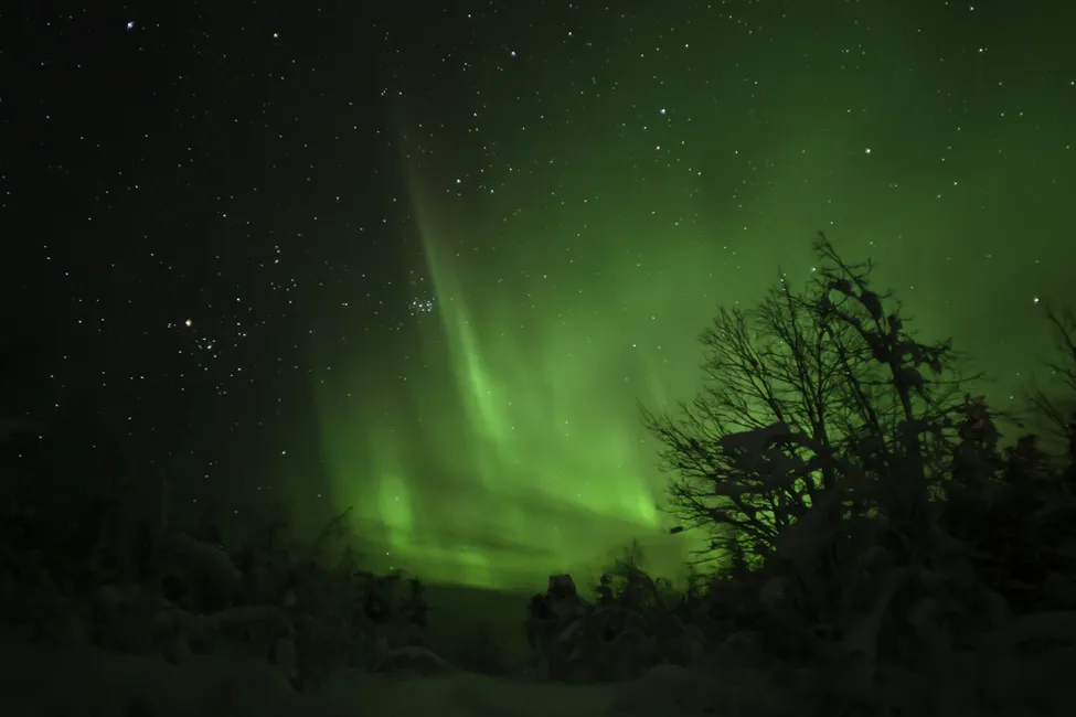 Klicka för att förstora