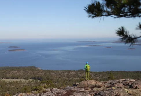Vårvandring i Skuleskogen