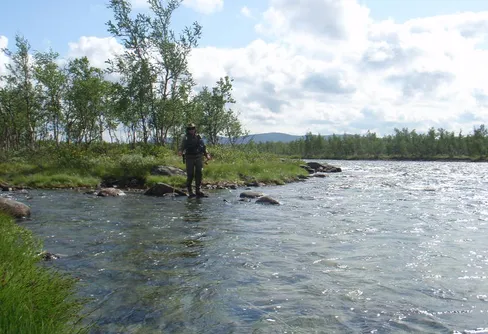 Nu vill vi äta fisk... Tacka Holland för det! Kaitumälven - Del 5