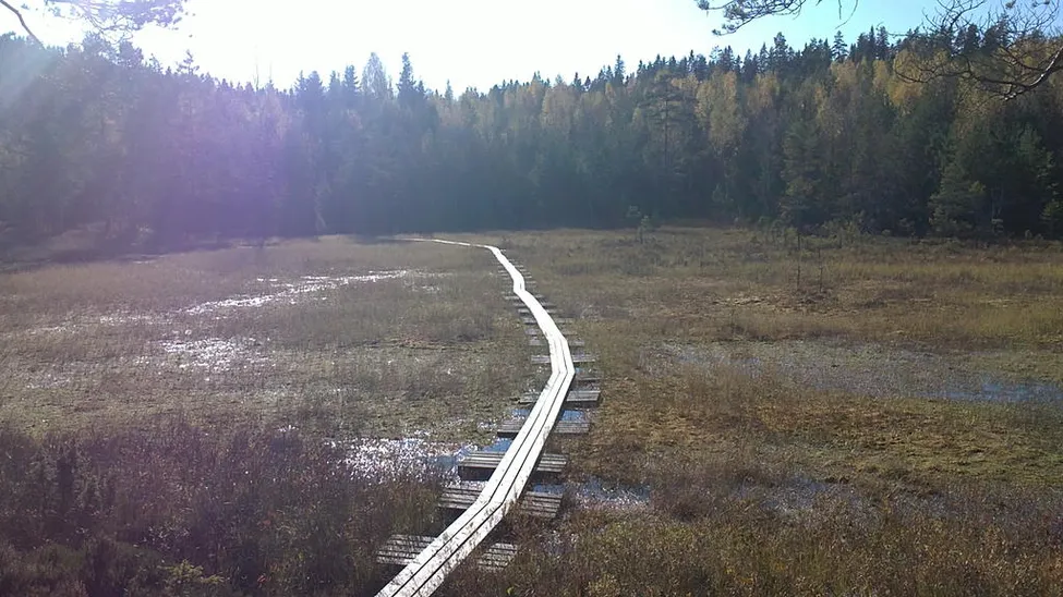 Klicka för att förstora