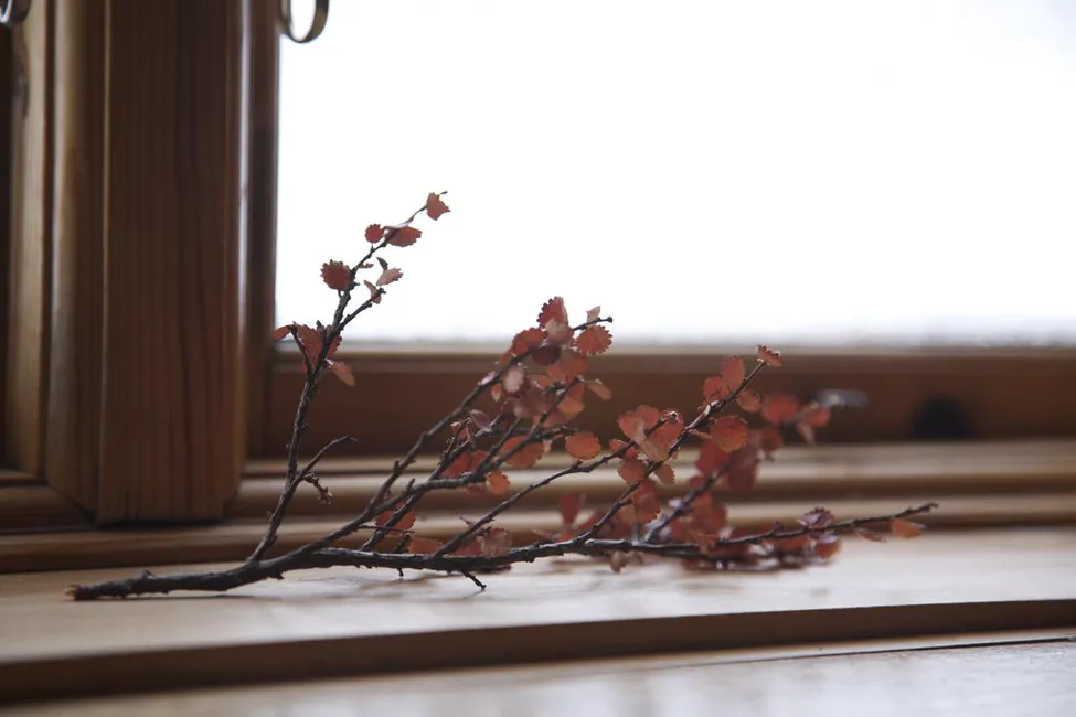 Klicka för att förstora