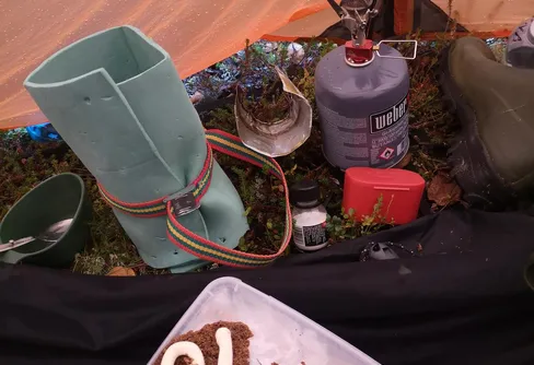 Muddus - into the bush