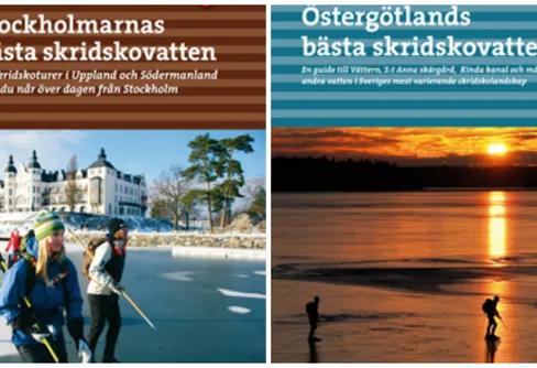 Utförsäljning skridskoböcker