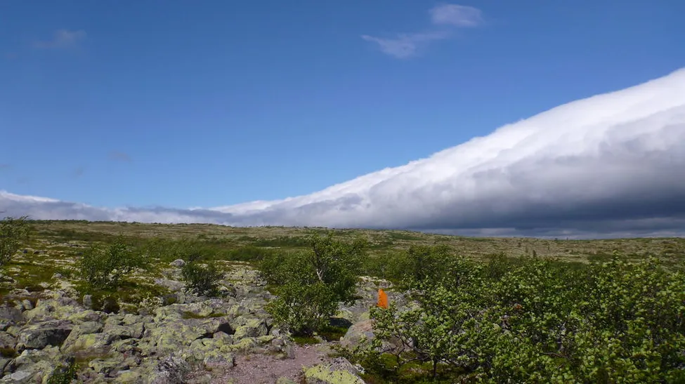 Klicka för att förstora