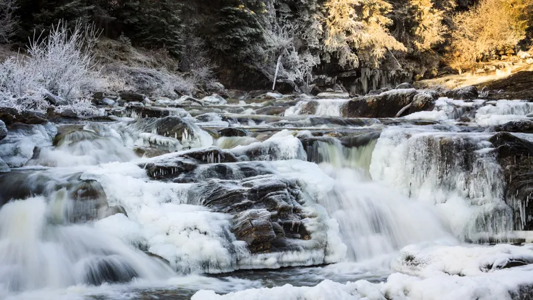 Klicka för att förstora