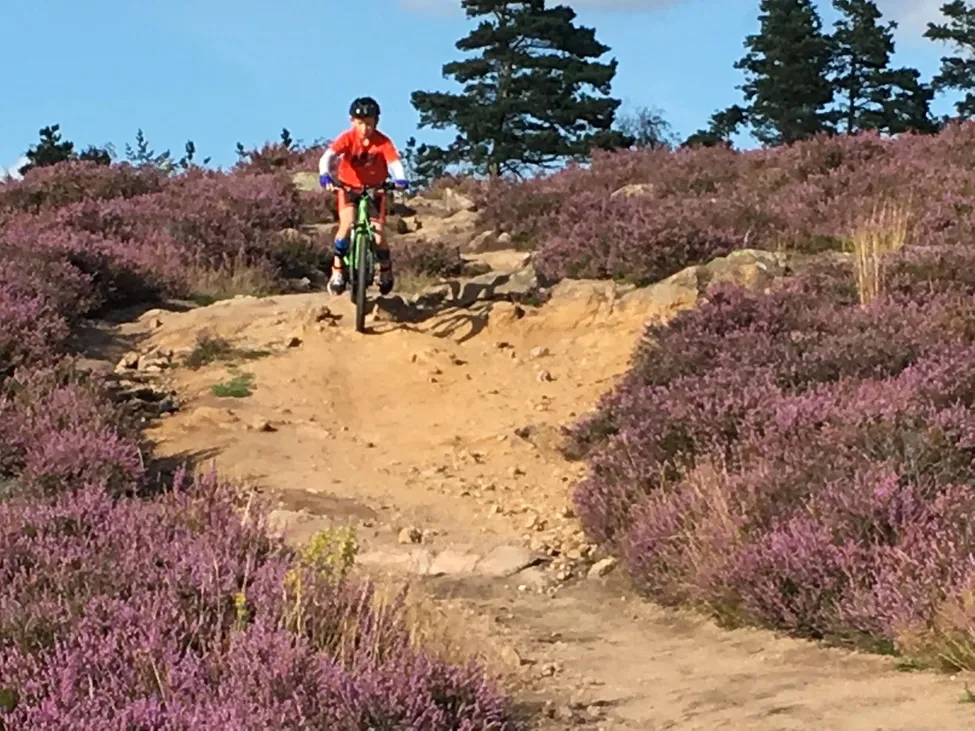 Klicka för att förstora