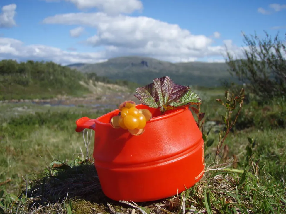 Klicka för att förstora