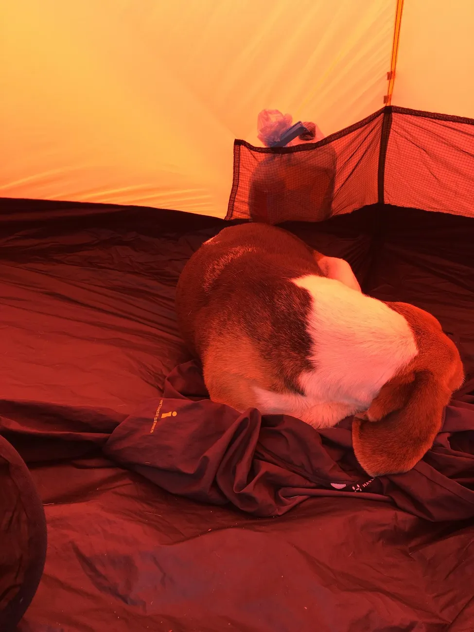 Klicka för att förstora