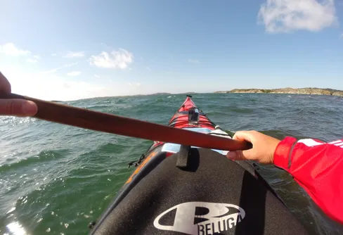 En dagstur på havet